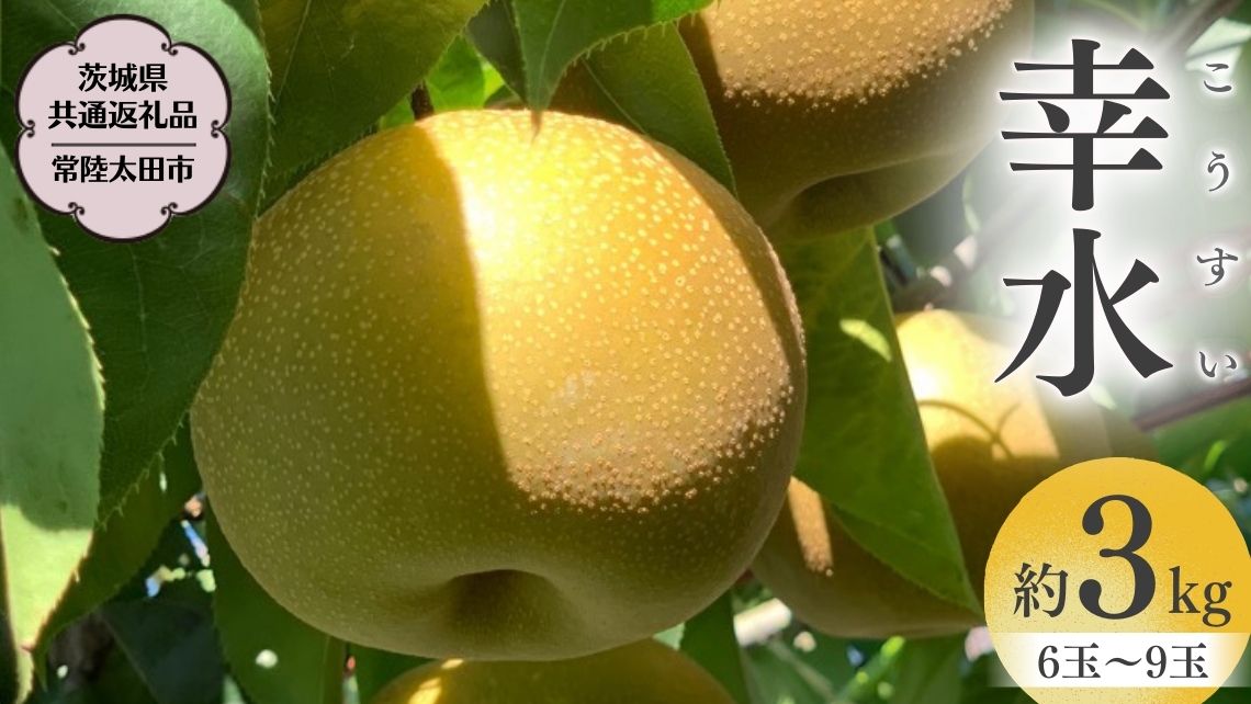 【2025年8月中旬発送開始】 茨城県産 梨 「 幸水 」 約 3kg 6玉 ～ 9玉 【茨城県共通返礼品／常陸太田市】 桧山果樹園 [DU001sa]