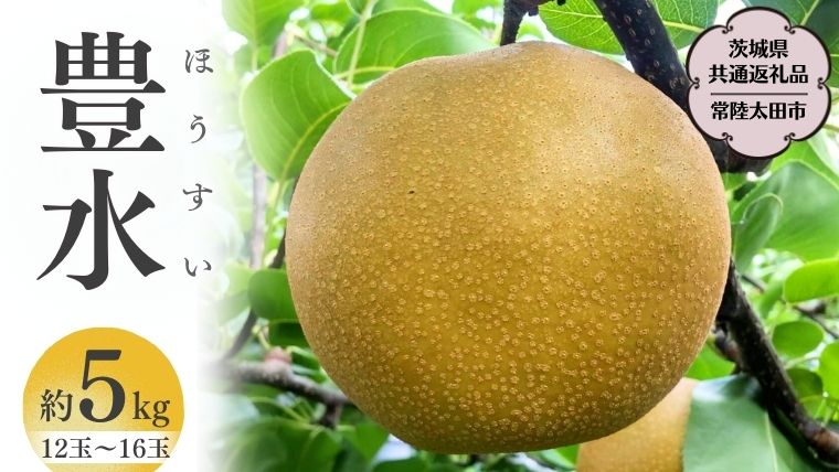 【2025年8月下旬発送開始】 茨城県産 梨 「 豊水 」  約 5kg 12玉 ～ 16玉 【茨城県共通返礼品／常陸太田市】 桧山果樹園 [DU004sa]
