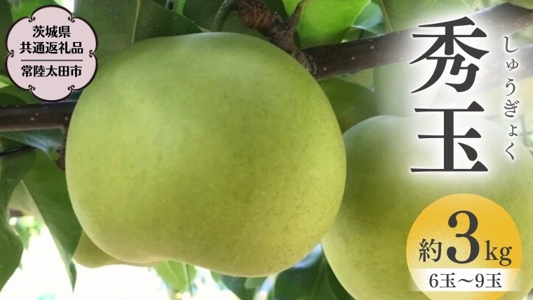 【2026年9月上旬発送開始】茨城県産 『幻の 梨 』 秀玉 約 3kg 6玉 ～ 9玉 【茨城県共通返礼品／常陸太田市】桧山果樹園 [DU005sa]