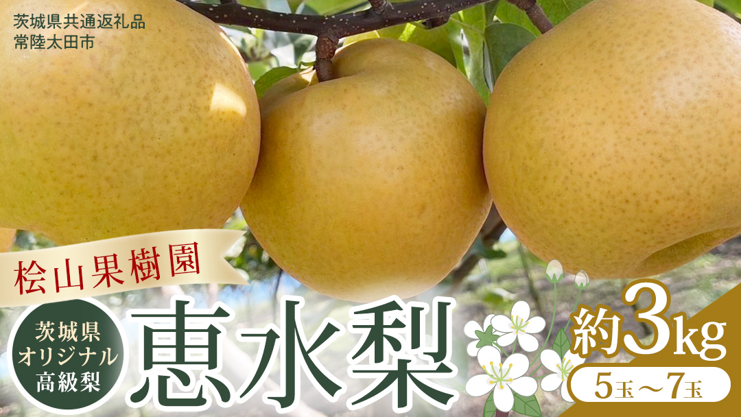【2026年9月上旬発送開始】 茨城県 オリジナル 幻の 高級梨 『 恵水 』 約 3㎏ 5玉 ～ 7玉 【茨城県共通返礼品／常陸太田市】 桧山果樹園 [DU007sa]
