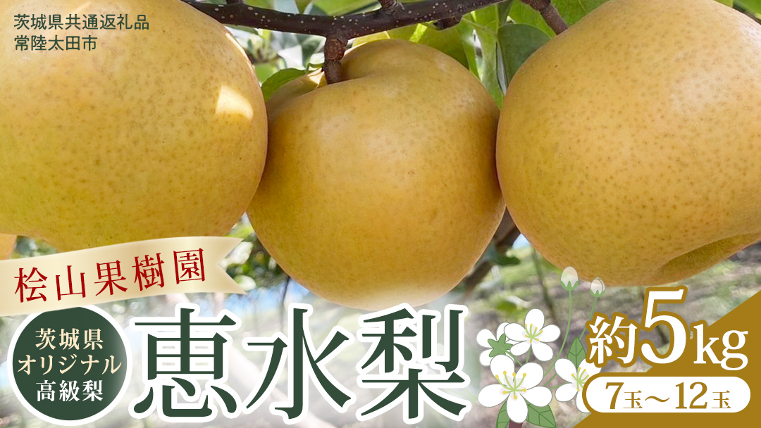 【2026年9月上旬発送開始】 茨城県 オリジナル 幻の 高級梨 『 恵水 』 約 5kg 7玉 ～ 12玉 【茨城県共通返礼品／常陸太田市】 桧山果樹園 [DU008sa]