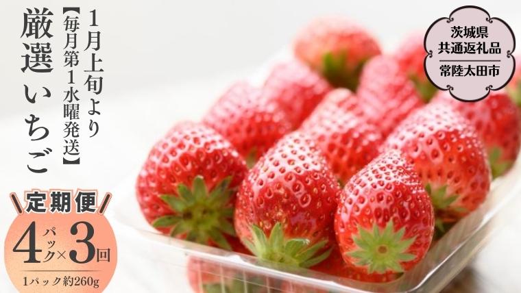 【2026年 先行予約】【定期コース】厳選いちご ４パック×3回【第1水曜発送】（茨城県共通返礼品／常陸太田市） 2026年1月発送開始 フルーツ 苺 イチゴ いちご 新鮮 朝採れ 茨城県 桧山FRUITFARM [DY006sa]