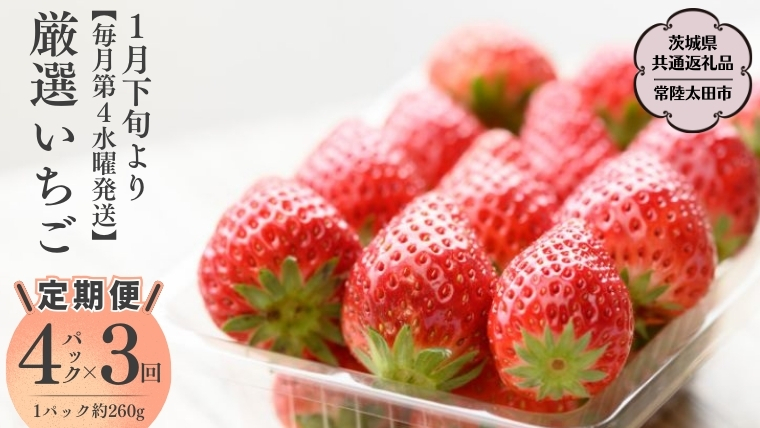 【2026年 先行予約】【定期コース】厳選いちご 4パック×3回【第4水曜発送】（茨城県共通返礼品／常陸太田市） 2026年1月発送開始 フルーツ 苺 イチゴ いちご 新鮮 朝採れ 茨城県 桧山FRUITFARM [DY012sa]