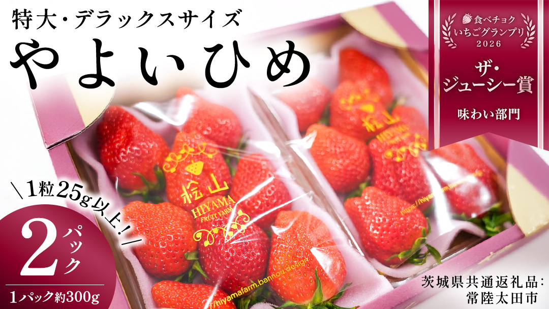 やよいひめ (2パック)　特大・デラックスサイズ（茨城県共通返礼品／常陸太田市） 2026年1月上旬発送開始 大粒 フルーツ 苺 イチゴ いちご 新鮮 朝採れ 茨城県 桧山FRUITFARM [DY013sa]