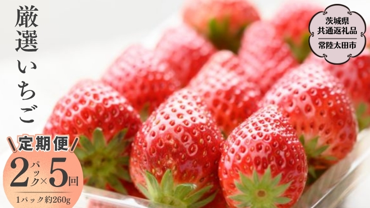 【2026年 先行予約】【定期 毎月お届けコース】厳選いちご 2パック×5回（茨城県共通返礼品／常陸太田市） 2026年1月発送開始 フルーツ 苺 イチゴ いちご 新鮮 朝採れ 茨城県 桧山FRUITFARM [DY015sa]