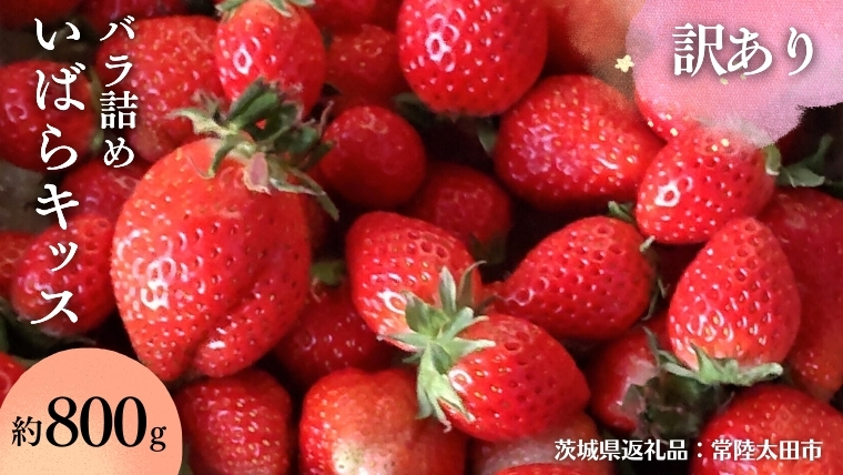 【 訳あり 】【 2026年 先行予約 】 いばらキッス たっぷり 約800g バラ詰め （茨城県共通返礼品／常陸太田市） 茨城県品種 2026年2月から発送開始 フルーツ 苺 イチゴ いちご 新鮮 朝採れ 茨城県 桧山FRUITFARM 不揃い 規格外 [DY023sa]