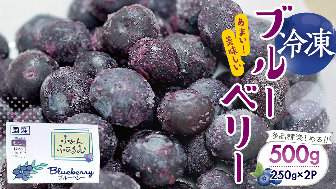 茨城県産 冷凍 ブルーベリー 合計 500g (250g×2袋)【2025年7月中旬から発送開始】 多品種 果実 果物 くだもの フルーツ おやつ ブルーベリー ベリー ジャム 小分け[DZ003sa]