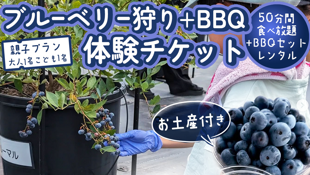 【寄附受付は2025年7月29日まで】 ブルーベリー狩り ＋ DAYキャンプ 体験チケット 《親子プラン レンタルBBQ道具＋お土産付き》 ブルーベリー ベリー 食べ比べ 食べ放題 収穫 収穫体験 キャンプ BBQ バーベキュー 肉 旅行 レンタル 体験 チケット 招待券 レジャー 観光 親子 ふれあい お土産 おみやげ 多品種 果実 果物 くだもの フルーツ 自然体験 農業体験 茨城県 桜川市 [DZ014sa]