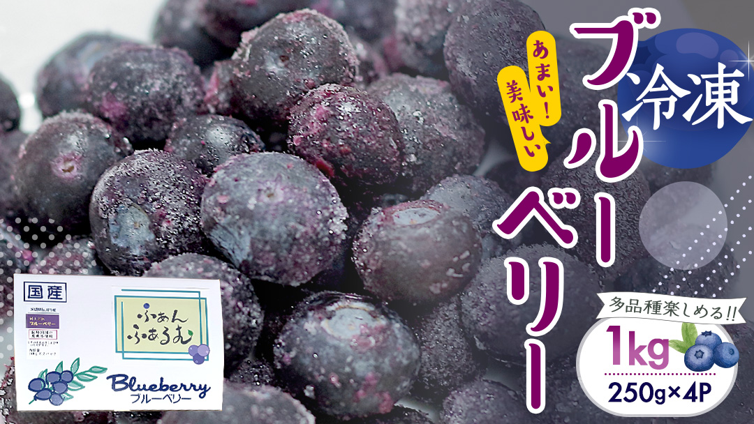 【2025年7月中旬から発送開始】 茨城県産 冷凍 ブルーベリー 合計 1kg (250g×4袋) 多品種 果実 果物 くだもの フルーツ おやつ ブルーベリー ベリー ジャム 小分け [DZ018sa]