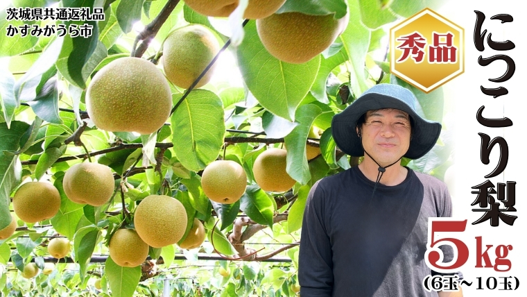 【先行予約】《秀品》にっこり梨 5kg 6玉～10玉（茨城県共通返礼品／かすみがうら市）[ED001sa] 鈴木農園 産地直送 フルーツ 甘い 直送 茨城 限定 にっこり [ED001sa]