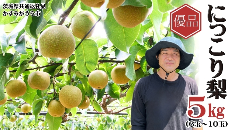 【先行予約】《優品》にっこり梨 5kg 6玉～10玉（茨城県共通返礼品／かすみがうら市）鈴木農園 産地直送 フルーツ 甘い 直送 茨城 限定 にっこり [ED002sa]