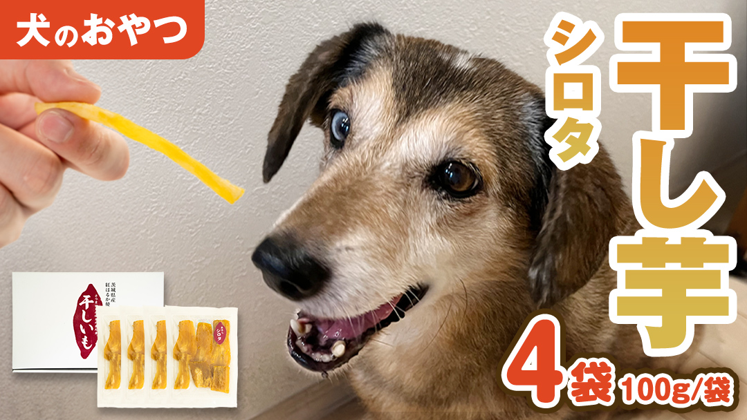 犬 の おやつ 干し芋 シロタ ( 100g × 4袋 ) 国産 手作り さつまいも 芋 お菓子 小分け 個包装 少量 栄養 食物繊維 噛みごたえ ドッグフード わんちゃん わんこ ペット ペットフード マツコの知らない世界 [EE016sa]