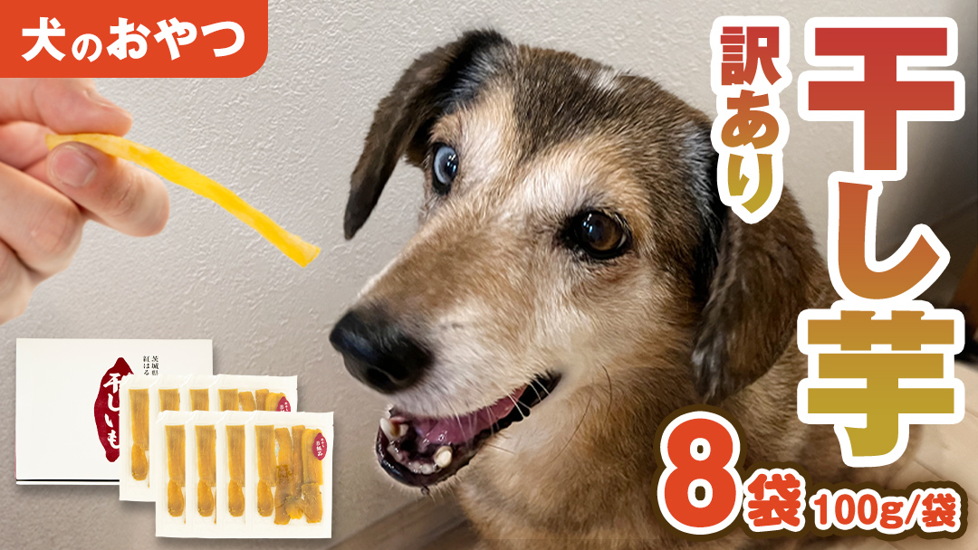 【 訳あり 】 犬 の おやつ 干し芋 無選別 ( 100g × 8袋 ) 国産 手作り さつまいも 芋 お菓子 小分け 個包装 少量 栄養 食物繊維 噛みごたえ ドッグフード わんちゃん わんこ ペット ペットフード マツコの知らない世界 [EE019sa]