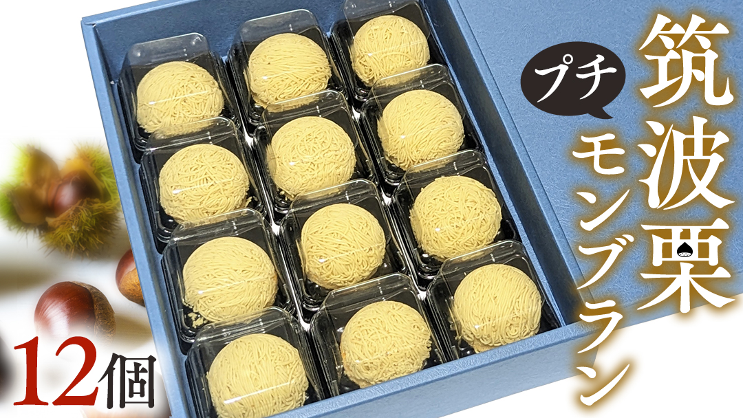 筑波 栗 の プチ モンブラン 約20g × 12個 和栗 和栗ペースト マロン クリーム 菓子 スイーツ オリジナル 洋菓子 和菓子 和スイーツ [EK011sa]