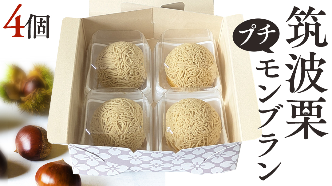 筑波 栗 の プチ モンブラン 約20g × 4個 和栗 和栗ペースト マロン クリーム 菓子 スイーツ オリジナル 洋菓子 和菓子 和スイーツ [EK013sa]