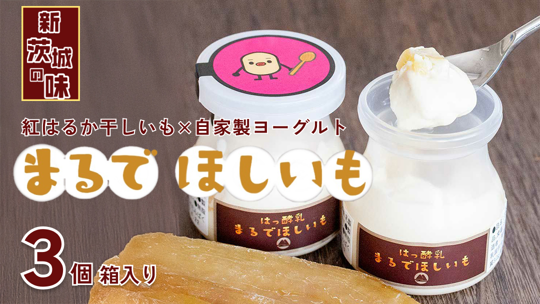 筑波ハム 『 まるで ほしいも 』 100g × 3個 ( ほしいもクン 特製 化粧箱 入り )( 茨城県共通返礼品 ) 自家製 ヨーグルト 紅はるか べにはるか 干し芋 干しいも デザート おやつ スイーツ [EN041sa]	