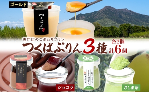 ゴールドぷりん ＆ ショコラ・ヴィノ・プディング ＆ さしま茶プリン 各2個 計6個 つくばぷりん プリン ぷりん ショコラ チョコレート さしま茶 茶 お茶 スイーツ 洋菓子 和スイーツ 冷菓 デザート 人気 グルメ お取り寄せ ギフト 送料無料 ふじ屋 茨城県 桜川市 [EW020sa]