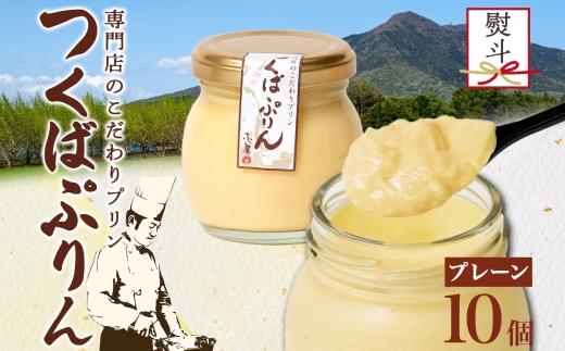 無地熨斗 つくばぷりん プレーン 10個 冷凍 プリン ぷりん 牛乳 生乳 ミルク 卵 奥久慈卵 スイーツ 贅沢 洋菓子 おやつ 冷菓 ご褒美 デザート 専門店 人気 グルメ お取り寄せ ギフト プレゼント 贈り物 贈答品 化粧箱 筑波山 つくば 送料無料 ふじ屋 茨城県 桜川市 [EW024sa]