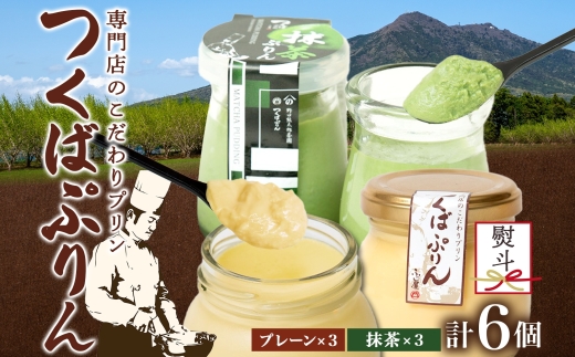 無地熨斗 つくばぷりん プレーン ＆ 抹茶ぷりん 各3個 計6個 冷凍 プリン ぷりん 抹茶 まっちゃ 茶 お茶 スイーツ 洋菓子 おやつ 冷菓 贅沢 ご褒美 デザート 和スイーツ 人気 グルメ お取り寄せ ギフト プレゼント 贈り物 つくば 送料無料 ふじ屋 茨城県 桜川市 [EW026sa]