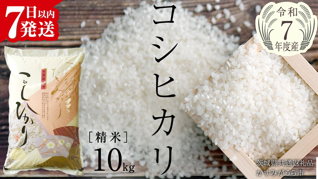 【令和7年産】 コシヒカリ 精米10kg（10kg×1袋）（茨城県共通返礼品 かすみがうら市産） 新米 米 ごはん もっちり 甘い コメ お米 白米 銘柄米 [EX002sa]