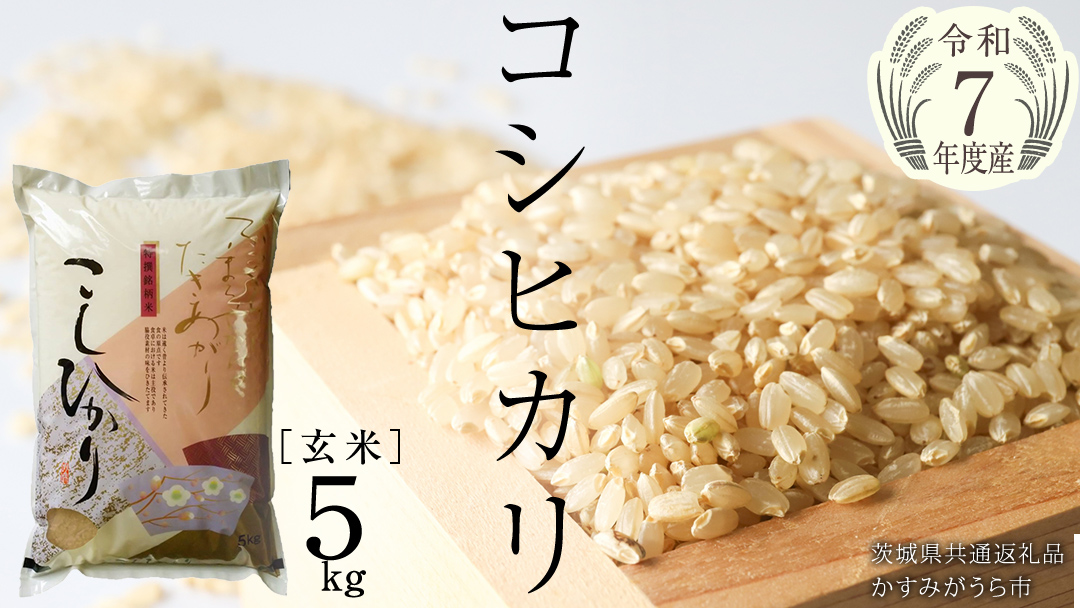 ＼ 1月出荷 ／【令和7年産】コシヒカリ 玄米5kg（5kg×1袋）（茨城県共通返礼品 かすみがうら市産）米 ごはん もっちり 甘い コメ お米 銘柄米[EX011sa-01]