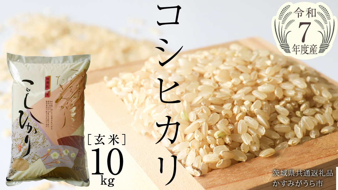 ＼ 2月出荷 ／【令和7年産】コシヒカリ 玄米10kg（10kg×1袋）（茨城県共通返礼品 かすみがうら市産）米 ごはん もっちり 甘い コメ お米 銘柄米[EX012sa-02]