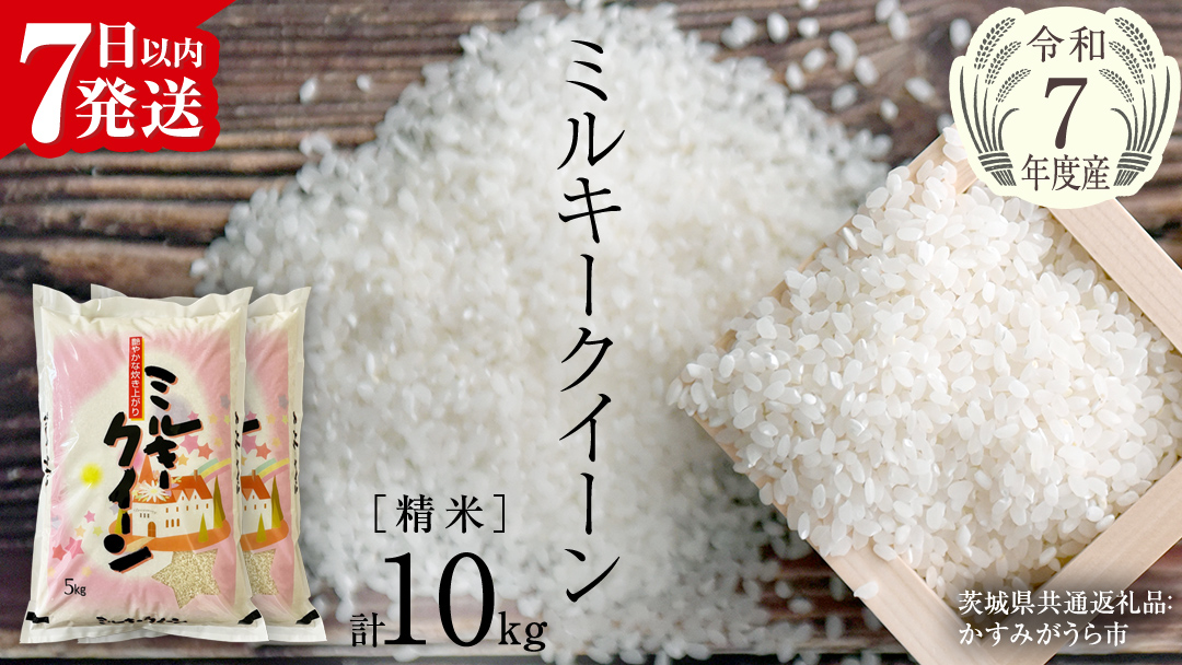 【令和7年産】 ミルキークイーン 精米 10kg（5kg×2袋）（茨城県共通返礼品 かすみがうら市産） 米 ごはん もっちり 甘い コメ お米 白米 銘柄米 [EX015sa]