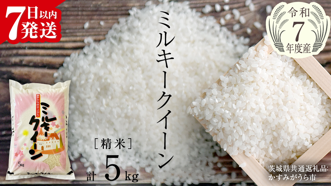 【令和7年産】 ミルキークイーン 精米 5kg（5kg×1袋）（茨城県共通返礼品 かすみがうら市産） 新米 米 ごはん もっちり 甘い コメ お米 白米 銘柄米 [EX016sa]