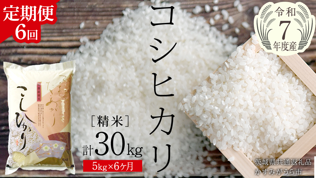 【 6ヶ月 定期便 】【 令和7年産 】 コシヒカリ 精米 5kg × 6回 ( 合計 30kg )（茨城県共通返礼品かすみがうら市）新米 米 ごはん もっちり 甘い コメ お米 白米 銘柄米 [EX018sa]