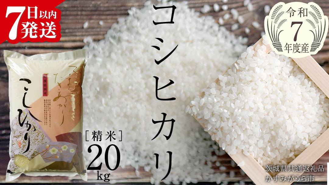 ＼ 最短7営業日以内に発送 ／【令和7年産】コシヒカリ 精米20kg（5kg×4袋）（茨城県共通返礼品 かすみがうら市） スピード発送 早い 米 ごはん もっちり 甘い コメ お米 白米 銘柄米 [EX026sa]