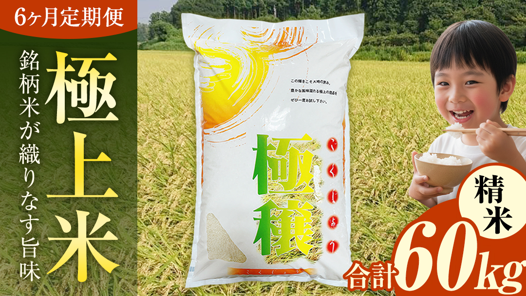 【 令和7年 】 【 6ヶ月 定期便 】 極上ふるさと米 精米 10kg × 6回 ( 合計 60kg ) (茨城県共通返礼品 かすみがうら市) スピード 最短 7日 すぐ届く すぐ発送 スピード発送 早い 米 ごはん もっちり 甘い コメ お米 白米 コシヒカリ こしひかり あきたこまち にじのきらめき ミルキークイーン オールインワン米 [EX036sa]