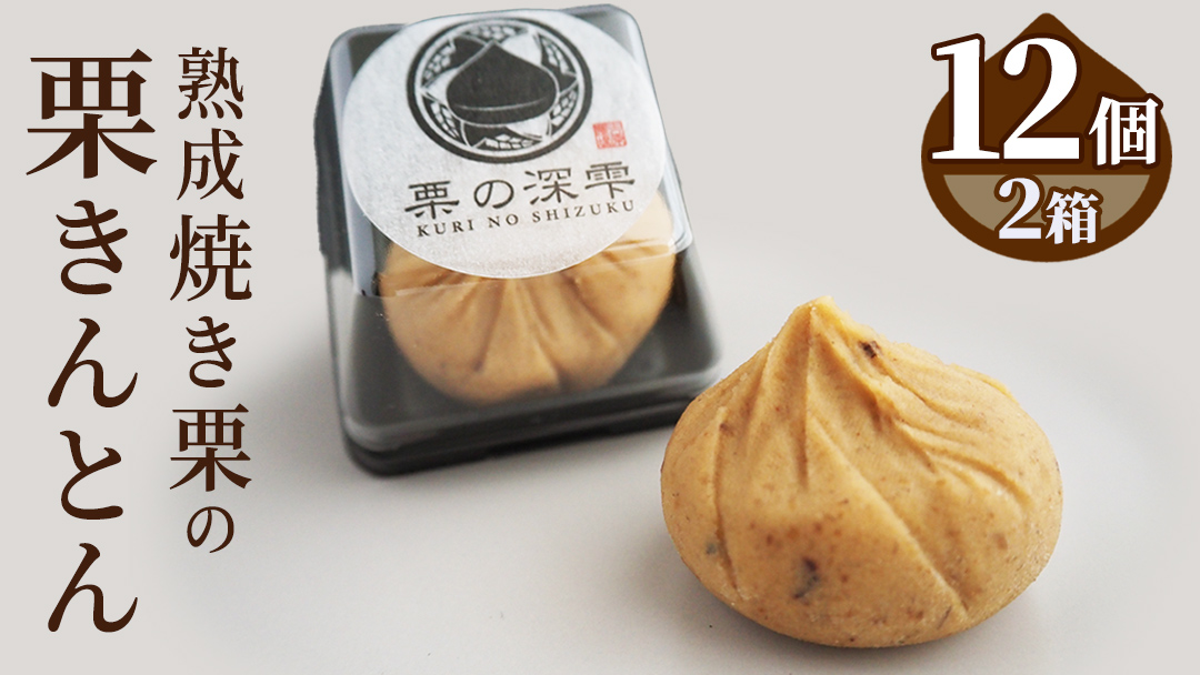 栗の深雫 (くりのしずく) 2箱 完熟 栗 くり クリ 栗きんとん 和菓子 おかし お菓子 贈り物 贈答 ギフト 秋 冬 [FC011sa]