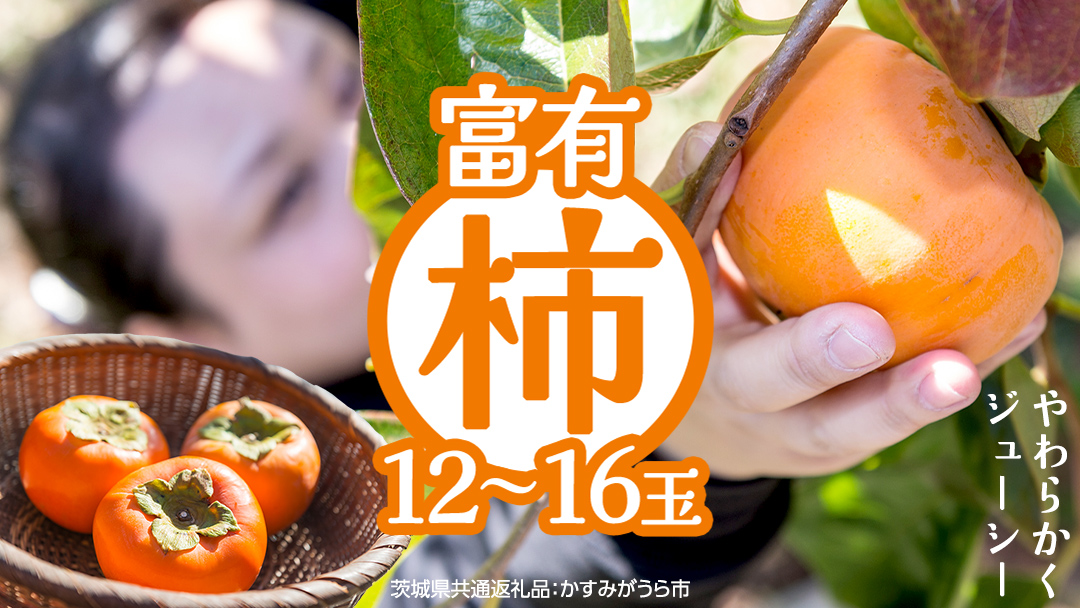 富有柿 12～16玉（茨城県共通返礼品：かすみがうら市） 【2026年11月中旬発送開始】 柿 かき 富有カキ ( 1箱 ) 果物 フルーツ くだもの カキ 富有かき 秋 旬 発送 産地直送 農家直送 産直 茨城県 [FF003sa]