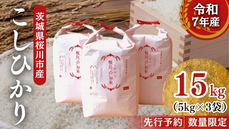 【生産者支援】 《令和7年産 先行予約》茨城県 桜川市産 こしひかり15kg（5kg×3袋） 茨城県産 桜川 米 お米 白米 コメ ごはん 精米 コシヒカリ 国産 限定 銘柄米 [SC011sa]