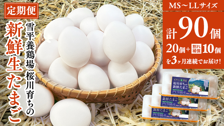 【3ヵ月定期便】雪平養鶏場 桜川育ちの 新鮮 たまご 合計90個 （20個＋10個割れ補償付)×3回 数量限定 卵 定期便 茨城県 桜川市[SC033sa]