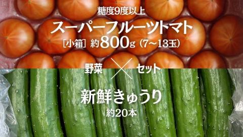 糖度9度以上 トマト 【 2025年収穫分 先行予約 】 スーパーフルーツトマト 小箱 約800g (7～13玉) 糖度9度以上 ＆ 新鮮 きゅうり 約20本 野菜セット 2025年2月上旬発送開始 とまと トマト 胡瓜 キュウリ 野菜 サラダ