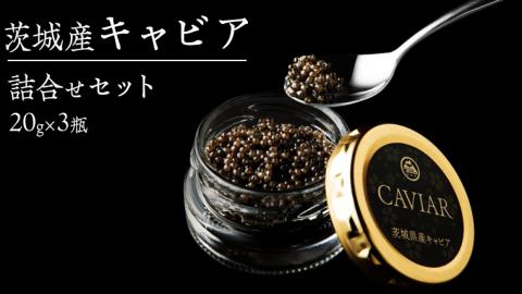 キャビア 詰め合わせ セット 20g×3 キャビア 高級食材 記念日 誕生日 世界三大珍味 国産キャビア [AI001sa]
