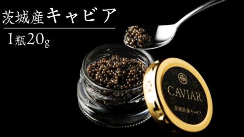つくばスタージョン キャビア 20ｇ×1  キャビア 高級食材 記念日 誕生日 世界三大珍味 国産キャビア 茨城県産 茨城[AI005sa]