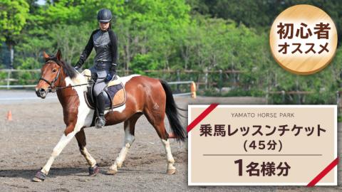 乗馬 レッスン１回 コース（45分） 乗馬 トレッキング 体験チケット アウトドア [DE008sa]