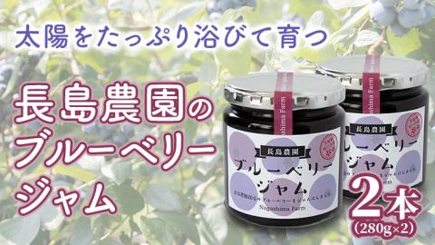 ブルーベリージャム 2本 ジャム ブルーベリー 国産 茨城県産 [AK007sa]