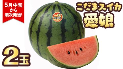 こだまスイカ　愛娘（２玉）【2026年5月中旬より発送開始】 際まで甘いこだまスイカ すいか スイカ 西瓜 甘い [BC030sa]