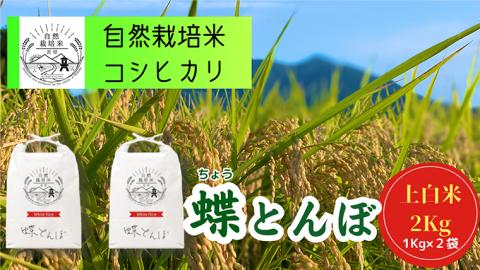 自然栽培米 コシヒカリ 『蝶とんぼ』 上白米 2kg 茨城県産 桜川 米 お米 白米 コメ ごはん コシヒカリ こしひかり 国産 [AU002sa]