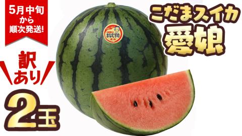 【訳あり】 際まで甘い こだまスイカ　愛娘（２玉）【2026年5月中旬より発送開始】スイカ 西瓜 旬 旬の果実 旬のフルーツ くだもの 果実 フルーツ 夏 小玉スイカ 小玉 果物 美味しい [BC061sa]