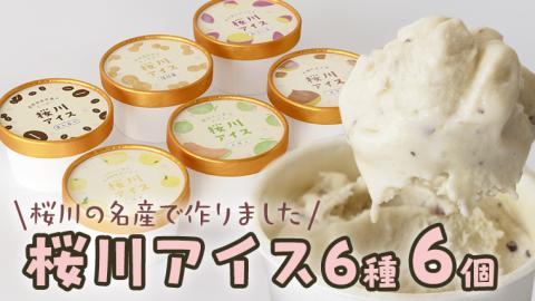 【生産者支援】桜川アイス 6種 6個 セット 数量限定 食べ比べ 90ml×6種類 桜川市のこだわり素材を使用 アイス あいす デザート スイーツ 産地限定 おやつ カップ [SC040sa]