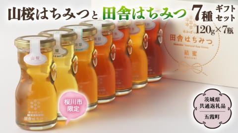 【桜川市限定】 山桜 はちみつ と 田舎 はちみつ 全7種 ギフトセット [結蜜 Musubi-R7山桜] 【茨城県共通返礼品／五霞町】 120g×7 瓶 生ハチミツ 非加熱 国産 [BS006sa]