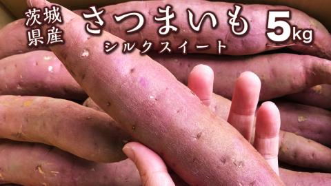 茨城県産 さつまいも 5kg （ シルクスイート ） サツマイモ さつま芋 産地直送 産直 焼き芋 焼いも 芋 いも イモ 野菜 国産 熟成 甘い 桜川市 [BC054sa]