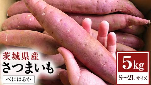 茨城県産 さつまいも 5kg （ べにはるか ） S～2L サイズ サツマイモ さつま芋 産地直送 産直 焼き芋 焼いも 芋 いも イモ 野菜 国産  熟成 甘い 桜川市 [ BC075sa ]: 桜川市ANAのふるさと納税