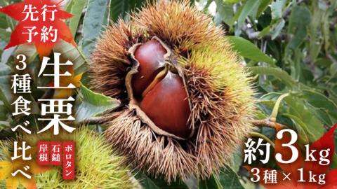 【先行予約】 生栗 3種 食べ比べ 約3kg （2024年10月中旬発送開始） 茨城県産 産地直送 久保田果樹園 [DH019sa]
