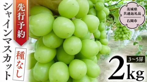 【 2025年9月上旬発送開始 】 シャインマスカット 約2kg (茨城県共通返礼品 石岡市） 開田ぶどう園 産地直送 フルーツ 甘い 直送 茨城 限定 ギフト ぶどう シャインマスカット 果物 [DO005sa]