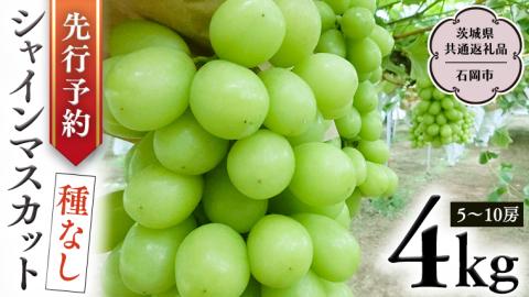 【 2025年9月上旬発送開始 】 シャインマスカット 約4kg (茨城県共通返礼品 石岡市） 開田ぶどう園 産地直送 フルーツ 甘い 直送 茨城 限定 ギフト ぶどう シャインマスカット 果物 [DO006sa]